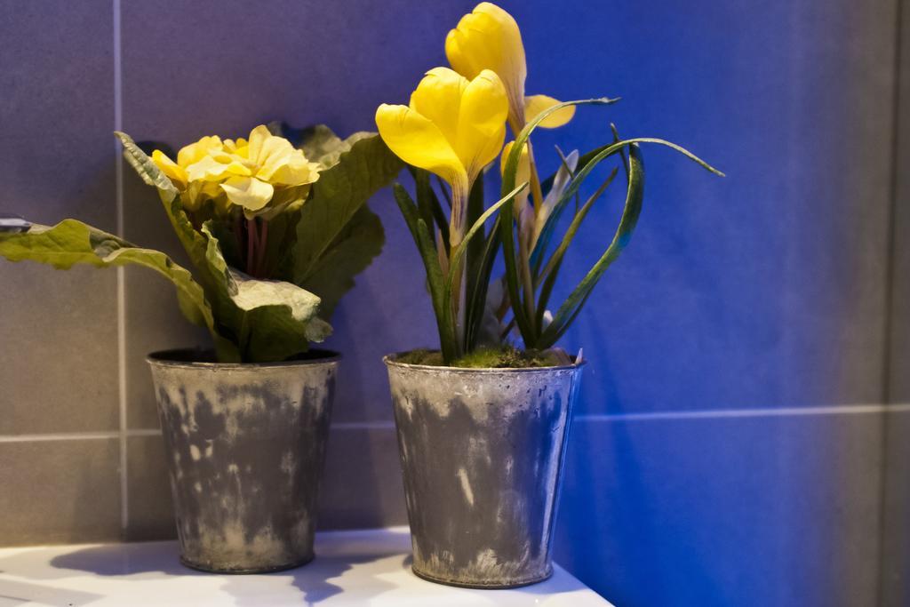Bed and Breakfast Domus Fontis Rom Zimmer foto